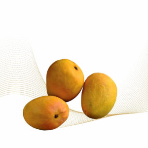 Alphonso Mango
