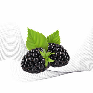 Blackberry