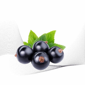 Blackcurrant