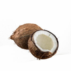 Coconut