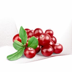 Cranberry