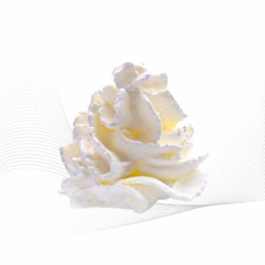 Cream Tobak