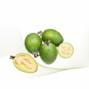 Feijoa