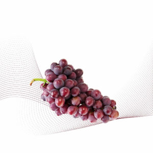 Fizzy Grape