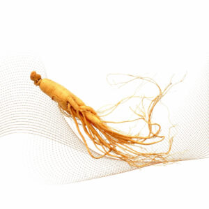 Ginseng