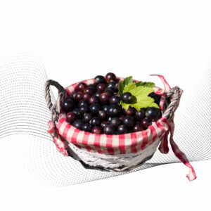 Grapple