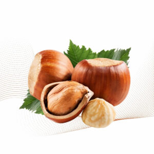 Hazelnut
