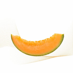 Honeydew Melon