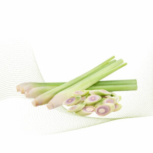 Lemongrass