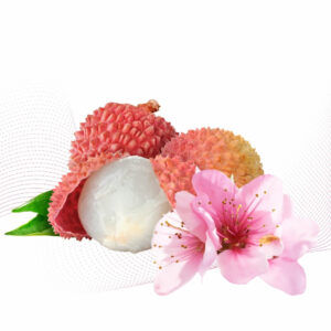 Lychee Sakura