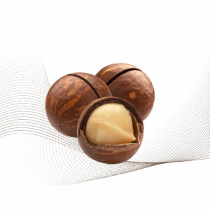 Macadamia Nut