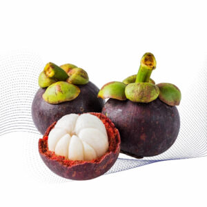 Mangosteen
