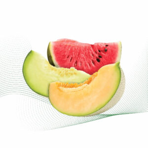 Melon Splash