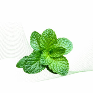 Menthol