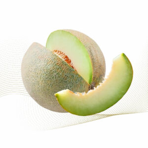 Musk Melon