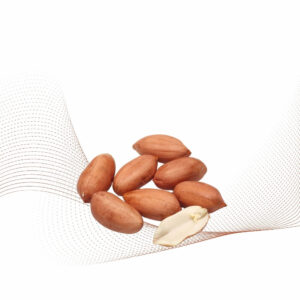 Roasted Peanut