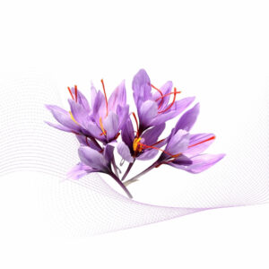 Saffron