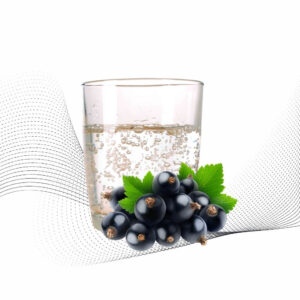 Sparkling Blackcurrant