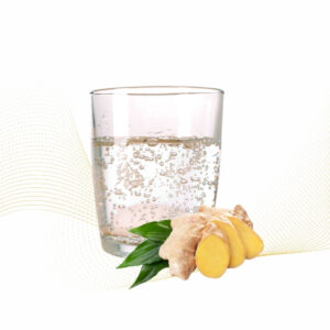 Sparkling Gingernade