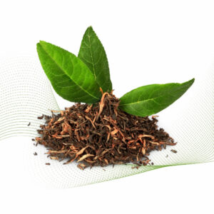 Tea Tree