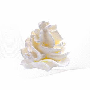 Whipped Cream