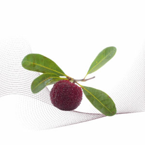 Yangmei Berry