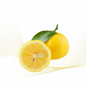 Yuzu