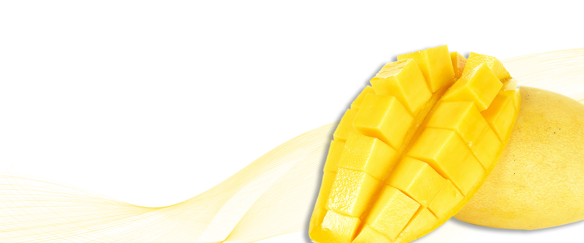 Awaken Your Senses
Dive into the Mango Tropical Experience!